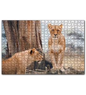 Cakapuzzle Afrika Savanında Dişi Aslan Görseli  Puzzle Yapboz MDF (Ahşap) (255 Parça)