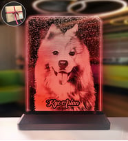 Köpeklere Özel Kişisel Resimli Dikey Dikdörtgen 3d Led Gece Lambası (Kırmızı)