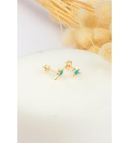 14K Uila Altın Küpe (Rose)