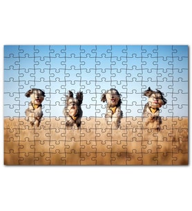 Cakapuzzle Kuru Otların Arasında Koşan Sevimli Terrier Puzzle Yapboz MDF (Ahşap) (255 Parça)