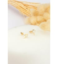 14K Lani Altın Küpe (Gümüş)