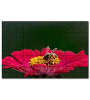 Cakapuzzle Kırmızı Çiçekten Polen Toplayan Balarısı Puzzle Yapboz MDF (Ahşap) (500 Parça)