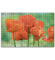 Cakapuzzle Turuncu Gelincikler  Puzzle Yapboz MDF (Ahşap) (500 Parça)