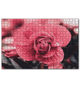 Cakapuzzle Kırmızı Çiçek ve Damlalar Yakın Plan  Puzzle Yapboz MDF (Ahşap) (500 Parça)