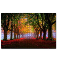 Cakapuzzle Sonbahar Sisler Ormanı ve Yapraklar  Puzzle Yapboz MDF (Ahşap) (255 Parça)