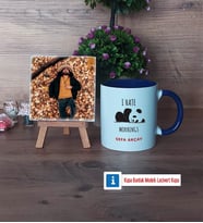 Sevimli Panda Fotoğraflı Dekoratif Taş, Kupa Bardak Beyaz Hediye (Model 3)