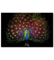 Cakapuzzle Görkemli Kuyruğuyla Tavus Kuşu Karanlık Arkaplan  Puzzle Yapboz MDF (Ahşap) (1000 Parça)