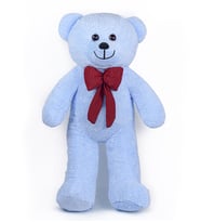 Pandamkee 80 Cm Sevgiliye Özel Hediyelik Ayı (Mavi)