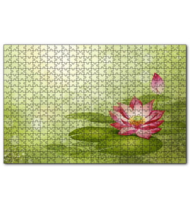 Cakapuzzle Lotus Çiçeği Ve Yeşil Zemin  Puzzle Yapboz MDF (Ahşap) (500 Parça)