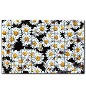 Cakapuzzle Bembeyaz Papatyalar  Puzzle Yapboz MDF (Ahşap) (255 Parça)