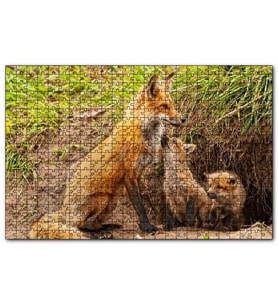 Cakapuzzle Yuvanın Girişinde Anne Tilki ve Yavruları  Puzzle Yapboz MDF (Ahşap) (1000 Parça)