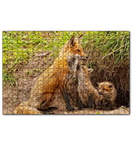 Cakapuzzle Yuvanın Girişinde Anne Tilki ve Yavruları  Puzzle Yapboz MDF (Ahşap) (1000 Parça)