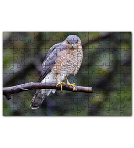 Cakapuzzle Dalda Etrafı Kolaçan Eden Doğan Puzzle Yapboz MDF (Ahşap) (500 Parça)