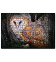 Cakapuzzle Peçeli Baykuş Türü  Puzzle Yapboz MDF (Ahşap) (255 Parça)