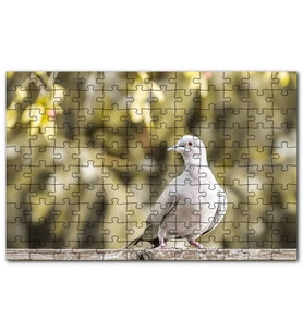 Cakapuzzle Kütük Üzerinde Gri Kumru Flu Arkaplan Puzzle Yapboz MDF (Ahşap) (500 Parça)