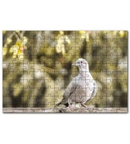 Cakapuzzle Kütük Üzerinde Gri Kumru Flu Arkaplan Puzzle Yapboz MDF (Ahşap) (500 Parça)