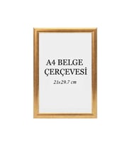 Diploma Çerçevesi  Belge Çerçevesi Sertifika Fotoğraf Çerçevesi A4 Tekli Boş Çerçeve 21x30 (Gold)