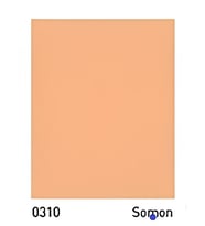 Bambu Su Bazlı Her Zemin Boyası 1Lt (Somon)