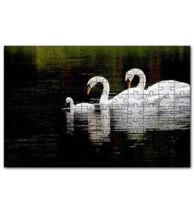 Cakapuzzle Gölde Yüzen Bir Çift Kuğu ve Yavruları Puzzle Yapboz MDF (Ahşap) (500 Parça)