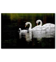 Cakapuzzle Gölde Yüzen Bir Çift Kuğu ve Yavruları Puzzle Yapboz MDF (Ahşap) (500 Parça)