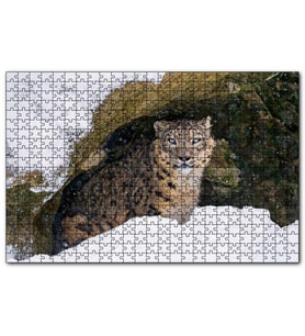 Cakapuzzle Mağara Ağzında Kar Leoparı  Puzzle Yapboz MDF (Ahşap) (1000 Parça)
