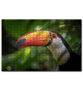Cakapuzzle Tropikal Kuş Tucan Yakın Plan  Puzzle Yapboz MDF (Ahşap) (255 Parça)