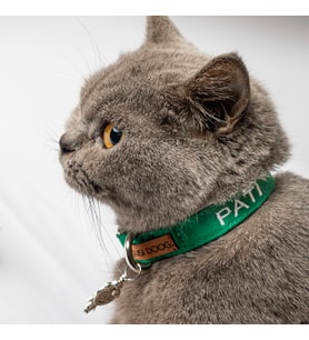 İsimli Kedi Tasması Kedi Boyun Tasması Ayarlanabilir 17- 29 cm (Yeşil)