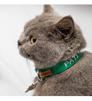 İsimli Kedi Tasması Kedi Boyun Tasması Ayarlanabilir 17- 29 cm (Yeşil)