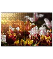 Cakapuzzle Laleler ve Güneş Işıkları  Puzzle Yapboz MDF (Ahşap) (1000 Parça)