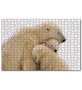 Cakapuzzle Kutup Ayısı ve Sevimli Yavruları Kar Arkaplan  Puzzle Yapboz MDF (Ahşap) (500 Parça)