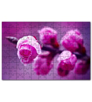 Cakapuzzle Pembe Gül Dalı Görseli Puzzle Yapboz MDF (Ahşap) (500 Parça)