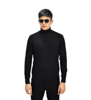 Erkek Spor Balıkçı Yaka Kazak R22507 BGL-ST03177 (Siyah)