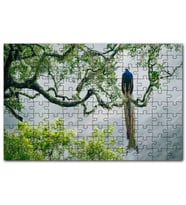 Cakapuzzle Ağaç Dalındaki Hint Tavuskuşu Puzzle Yapboz MDF (Ahşap) (255 Parça)