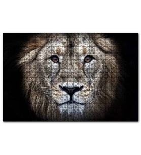Cakapuzzle  Erkek Aslan Siyah Zemin  Puzzle Yapboz MDF (Ahşap) (255 Parça)