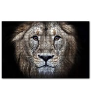 Cakapuzzle  Erkek Aslan Siyah Zemin  Puzzle Yapboz MDF (Ahşap) (255 Parça)