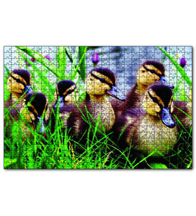 Cakapuzzle Çayırda Ördek Yavruları  Puzzle Yapboz MDF (Ahşap) (255 Parça)