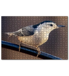 Cakapuzzle Beyaz Göğüslü Sıvacı Kuşu Görseli  Puzzle Yapboz MDF (Ahşap) (500 Parça)