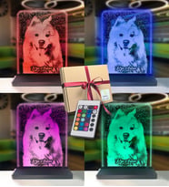 Köpeklere Özel Kişisel Resimli Dikey Dikdörtgen 3d Led Gece Lambası (Karışık)