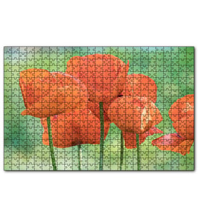 Cakapuzzle Turuncu Gelincikler  Puzzle Yapboz MDF (Ahşap) (1000 Parça)