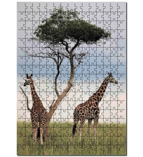 Cakapuzzle Afrikada Çift Zürafa Görseli Puzzle Yapboz MDF (Ahşap) (500 Parça)