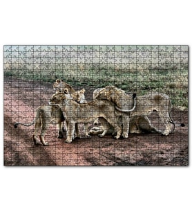 Cakapuzzle Toprak Yolun Ortasında Aslan Ailesi  Puzzle Yapboz MDF (Ahşap) (1000 Parça)