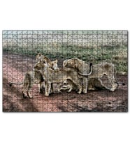 Cakapuzzle Toprak Yolun Ortasında Aslan Ailesi  Puzzle Yapboz MDF (Ahşap) (1000 Parça)
