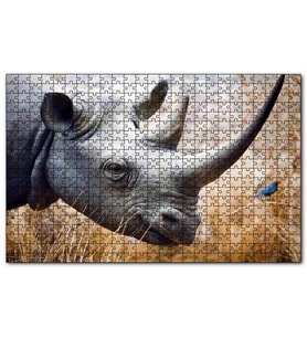 Cakapuzzle Gergedan Başı Yakın Çekim Puzzle Yapboz MDF (Ahşap) (255 Parça)