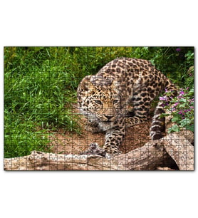 Cakapuzzle Çayırdaki Leopar Pusuda  Puzzle Yapboz MDF (Ahşap) (255 Parça)