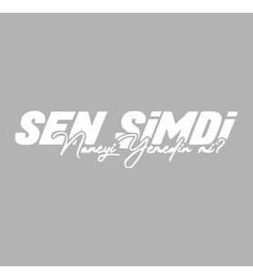 Sen Şimdi Naneyi Yemedin mi? Araba Sticker siyah 16x4 CM (Beyaz)