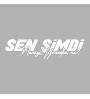 Sen Şimdi Naneyi Yemedin mi? Araba Sticker siyah 16x4 CM (Beyaz)