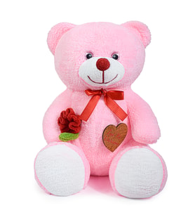 70 cm Elinde Gül Tutan Sevimli Ayıcık (Pembe)