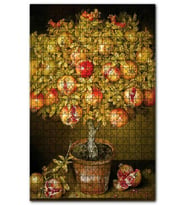 Cakapuzzle Saksıdaki Olgun Narlar Görseli Puzzle Yapboz MDF (Ahşap) (255 Parça)