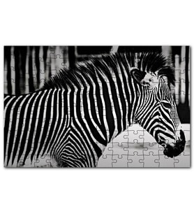 Cakapuzzle Benzersiz Deseniyle Zebra Yakın Çekim Puzzle Yapboz MDF (Ahşap) (1000 Parça)