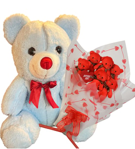 Anneler  Gününe ÖZEL:  Sevimli 35 cm Peluş Ayı ile Premium Yumoş Kırmızı Peluş Ayıcık Buketi (Açık Mavi)